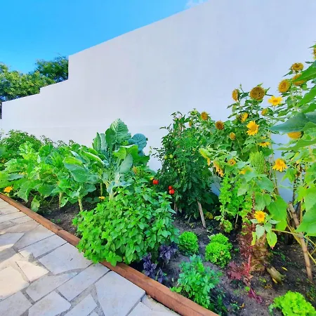 Holiday home Sitio Nazare
